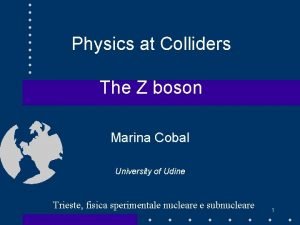 Physics at Colliders The Z boson Marina Cobal