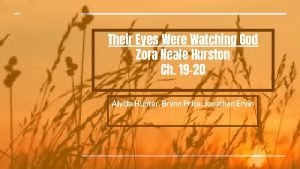 Their eyes were watching god chapter 19-20 summary