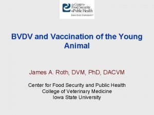 BVDV and Vaccination of the Young Animal James