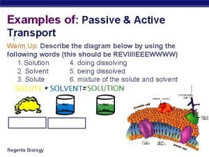 Examples of active transport