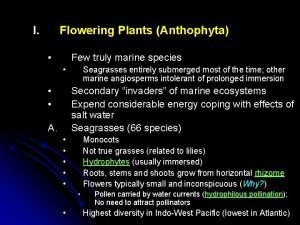 I Flowering Plants Anthophyta Few truly marine species