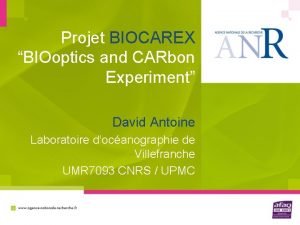 Projet BIOCAREX BIOoptics and CARbon Experiment David Antoine