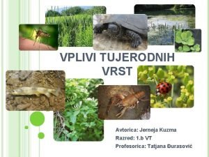 VPLIVI TUJERODNIH VRST Avtorica Jerneja Kuzma Razred 1