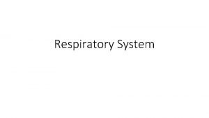 Respiratory System Respiratory System Vocabulary respiratory system takes