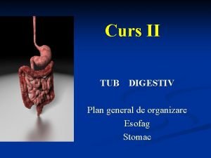 Din ce este format tubul digestiv