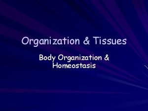 Example of homeostasis