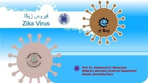 Zika Virus Prof Dr Abdelraouf A Elmanama Medical