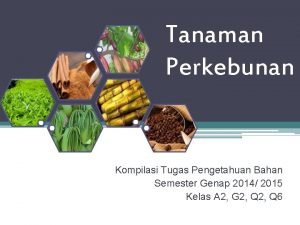 Tanaman Perkebunan Kompilasi Tugas Pengetahuan Bahan Semester Genap