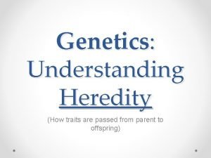 Genetics Understanding Heredity How traits are passed from
