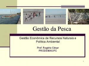 Gesto da Pesca Gesto Econmica de Recursos Naturais