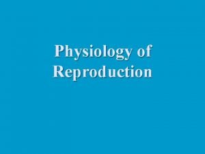 Physiology of Reproduction Gonadal development n Both the