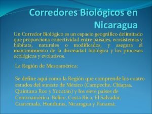 Corredores Biolgicos en Nicaragua Un Corredor Biolgico es