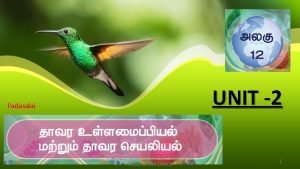 UNIT 2 Padasalai 832019 T AUGUSTIN RAJ GHS