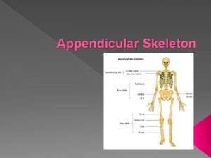 Appendicular Skeleton Appendicular Skeleton Upper Limbs Top Half
