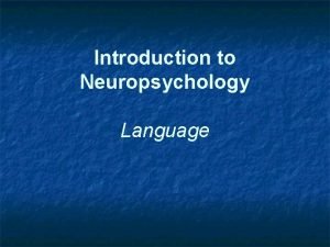 Introduction to Neuropsychology Language Example Exam Questions 1