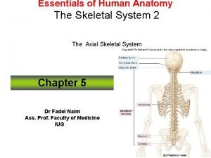 Body sutures Body sutures