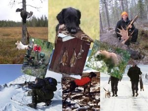 Jgarefrbundet Norrbotten 8 135 medlemmar 15 jaktvrdskretsar www