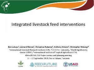 Integrated livestock feed interventions Ben Lukuyu 1 Leonard