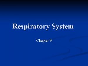 Respiratory System Chapter 9 Respiratory System Functions To