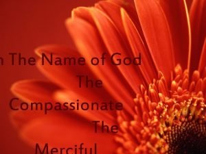 n The Name of God The Compassionate The