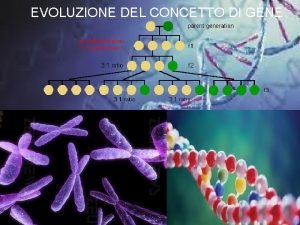 EVOLUZIONE DEL CONCETTO DI GENE Il gene definito