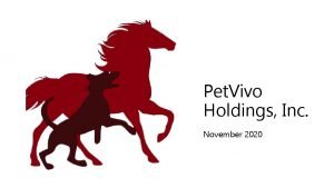 Pet Vivo Holdings Inc November 2020 ForwardLooking Statements