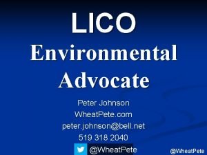 LICO Environmental Advocate Peter Johnson Wheat Pete com