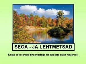 SEGA JA LEHTMETSAD Kige soodsamate tingimustega ala inimeste