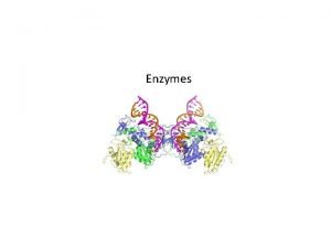 What are enzymes made of