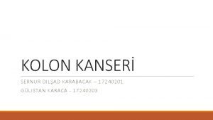 KOLON KANSER SERNUR DILAD KARABACAK 17240201 GLISTAN KARACA