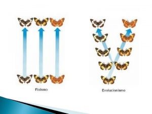 Evolucionismo O pensamento transitou gradualmente para uma viso