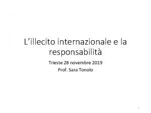 Lillecito internazionale e la responsabilit Trieste 28 novembre