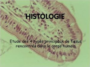 HISTOLOGIE Etude des 4 types principaux de tissus