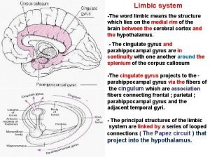 Limbic system definition