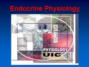 Endocrine Physiology The Thyroid Gland The thyroid gland