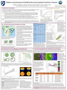 Patterns and processes of biodiversity and ecosystem function