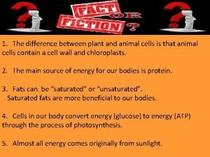 Simple vs complex carbs