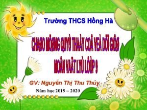 GV Nguyn Th Thu Thy Nm hc 2019