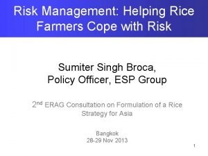 Rice risk management