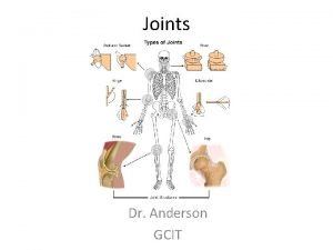 Function of joints