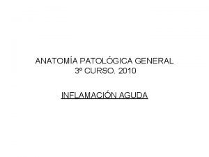 ANATOMA PATOLGICA GENERAL 3 CURSO 2010 INFLAMACIN AGUDA