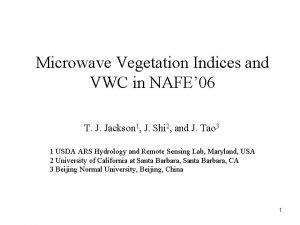 Microwave Vegetation Indices and VWC in NAFE 06