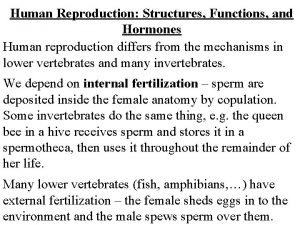Human Reproduction Structures Functions and Hormones Human reproduction