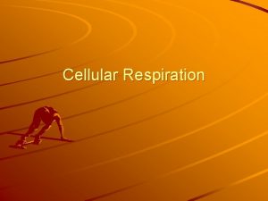 Cellular Respiration Cellular Respiration is the process of