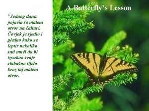 A Butterflys Lesson Jednog dana pojavio se maleni