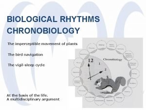 BIOLOGICAL RHYTHMS CHRONOBIOLOGY The imperceptible movement of plants