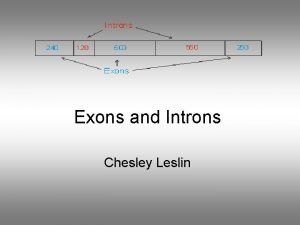 Exons and Introns Chesley Leslin Steps in Production