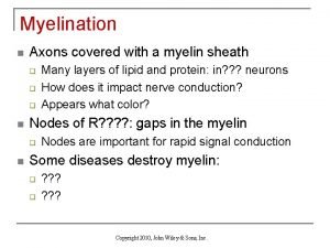 Myelination n Axons covered with a myelin sheath