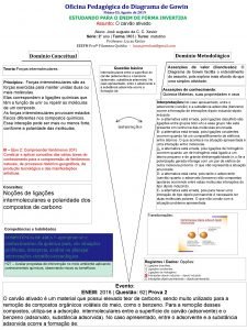 Oficina Pedaggica do Diagrama de Gowin PimaES Agosto