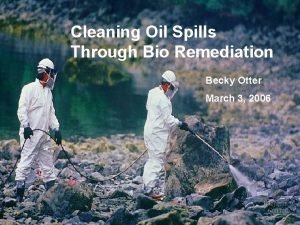 Cleaning Oil Spills Through Bio Remediation Becky Otter